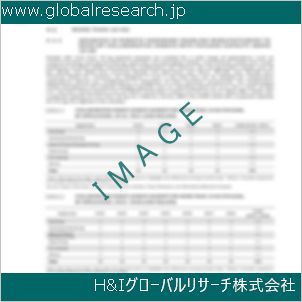 グローバルリサーチ調査資料のイメージ